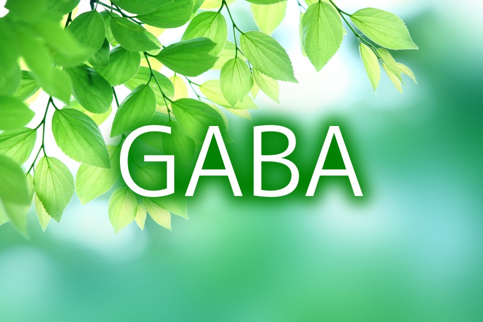 過緊張にGABA